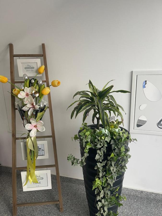Am Apartments Timişoara Eksteriør billede