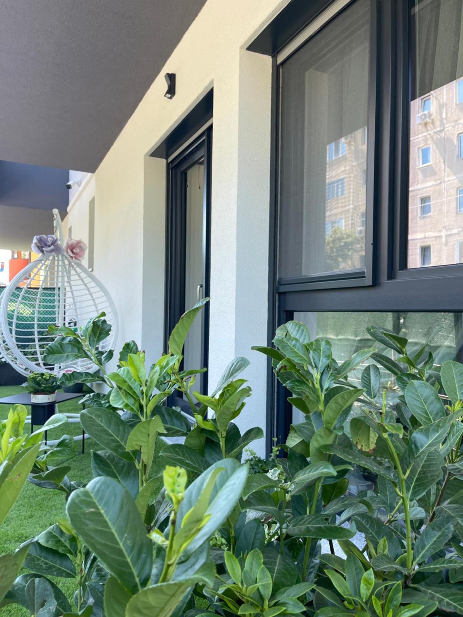Am Apartments Timişoara Eksteriør billede