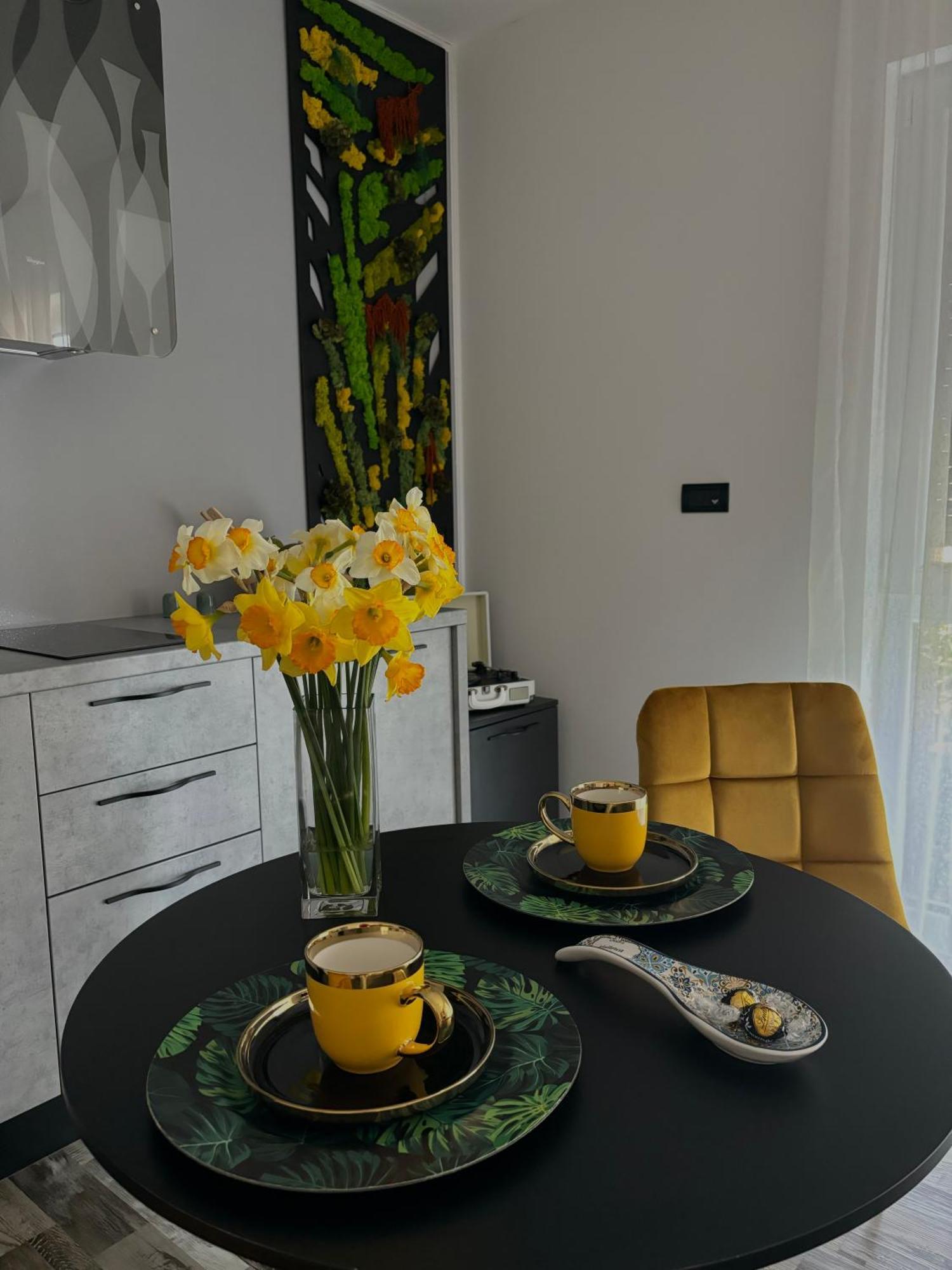 Am Apartments Timişoara Eksteriør billede